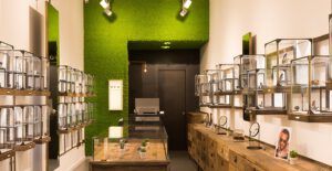 Optician store with large green colored moss wall. Two spotlights on the moss wall. Moss produced by Polarmoss.