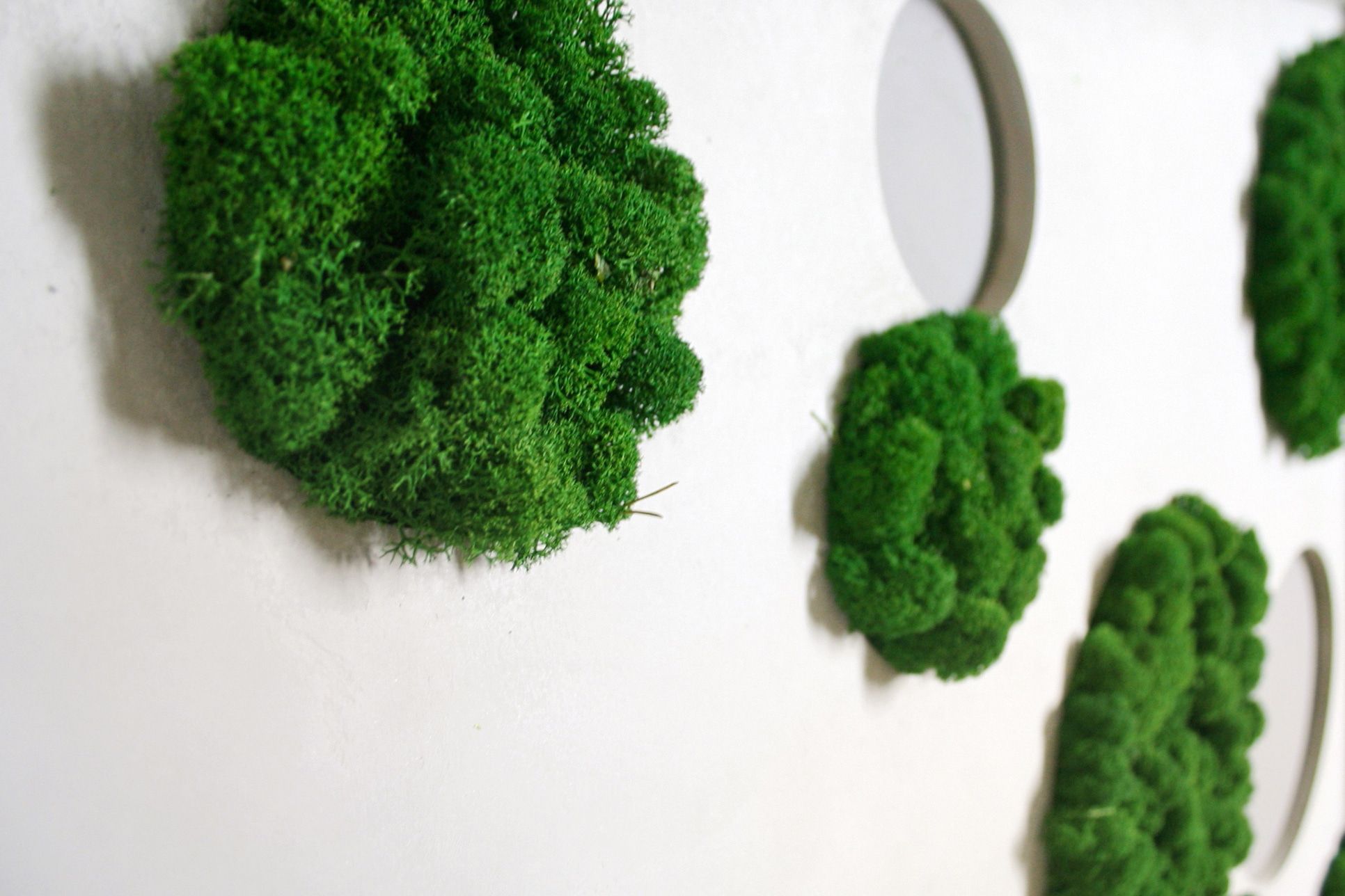 Polarmoss-3-2_CustomizedProducts_SummerGreen20_02