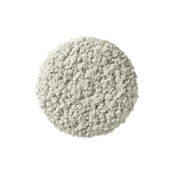 Polarmoss Moon. Colored moss green wall interior design element. Color Lichen 01. Size Ø 38 cm (15")