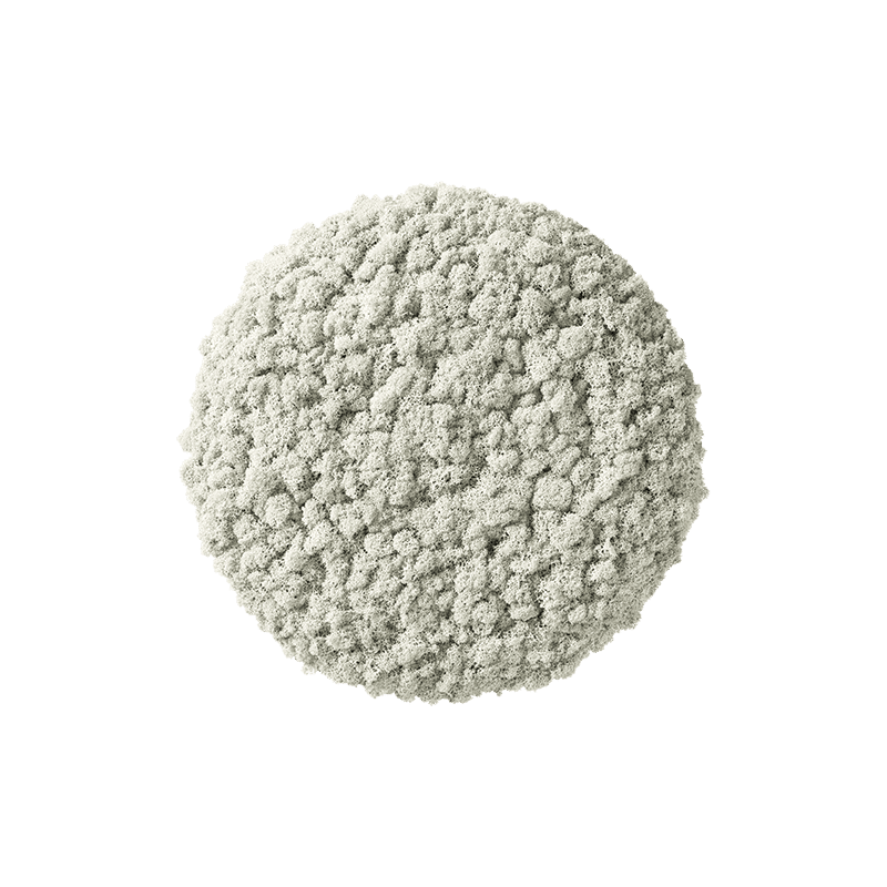 Polarmoss Moon. Colored moss green wall interior design element. Color Lichen 01. Size Ø 38 cm (15")