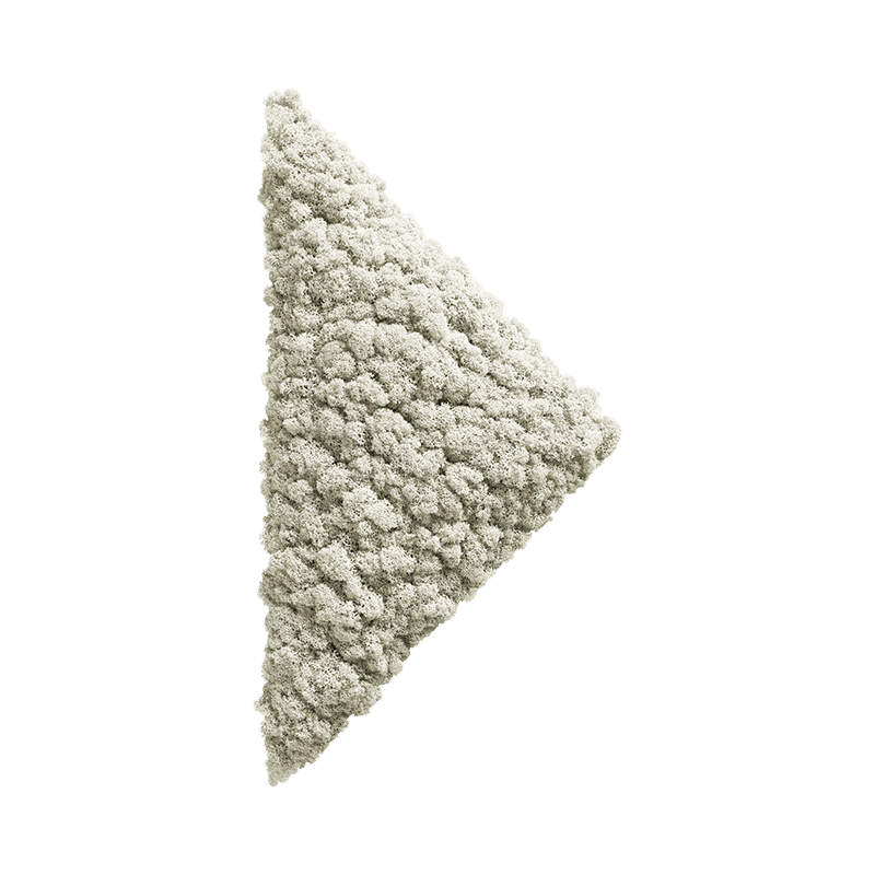 Polarmoss HalfSquare. Colored moss green wall interior design element. Color Lichen 01 . Size 38 x 38 cm (15" x 15").