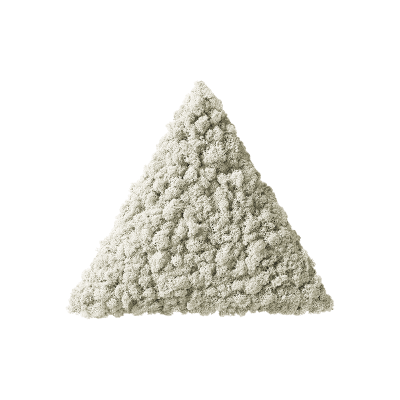 Polarmoss Triangle. Colored moss interior design element. Color Lichen 01 Size 38 x 38 cm (15" x 15")