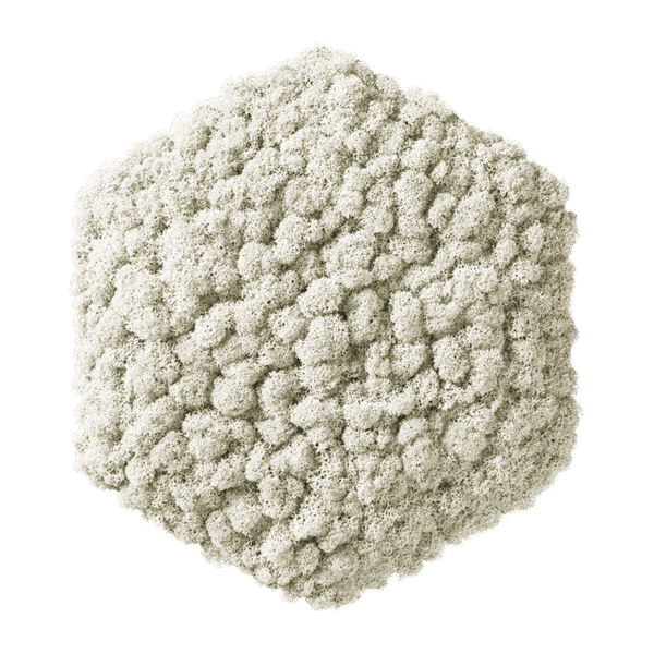 Colored moss element Polarmoss Hexagon