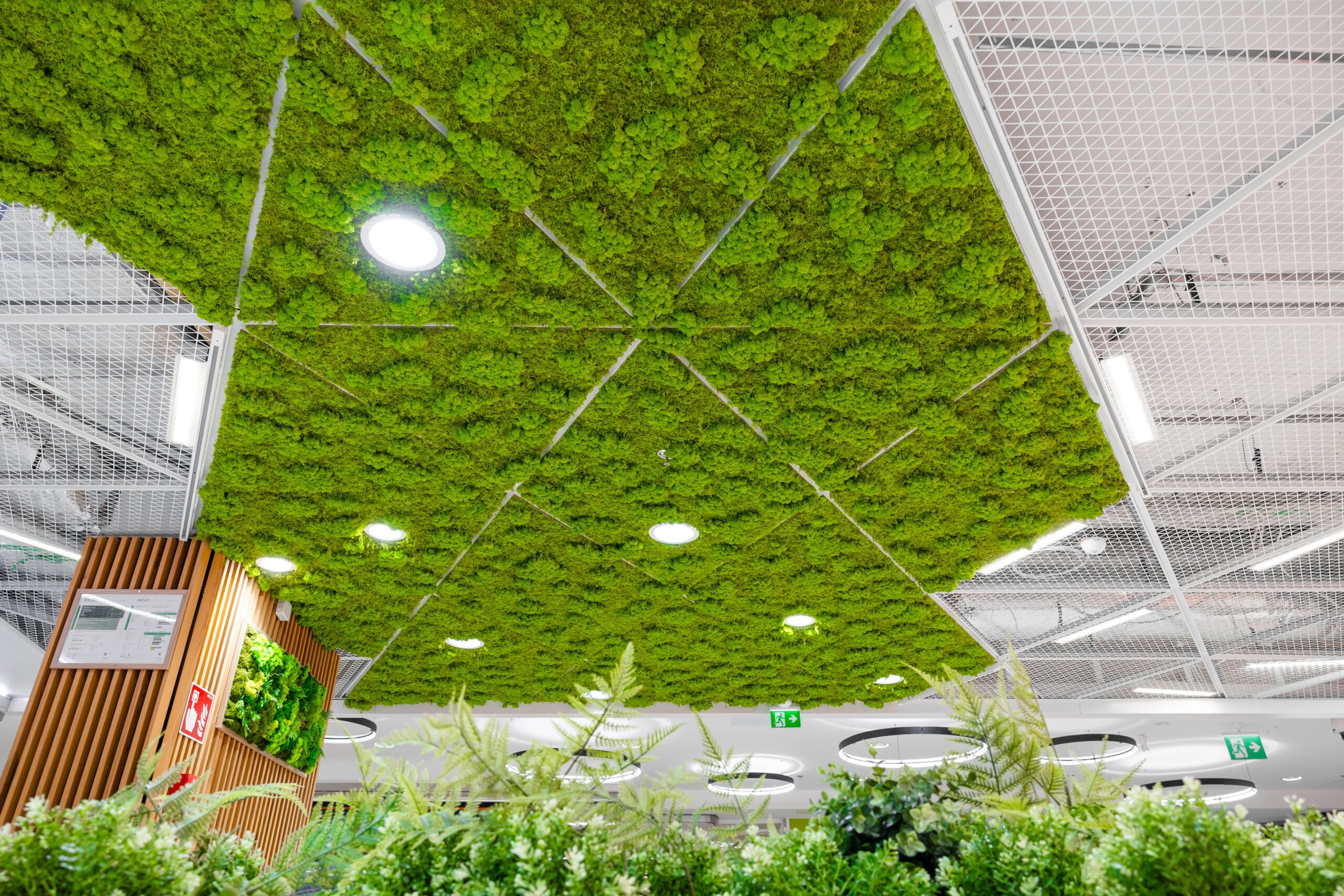 3-2_Polarmoss_Pekuri_FeelTheForest_1_2024