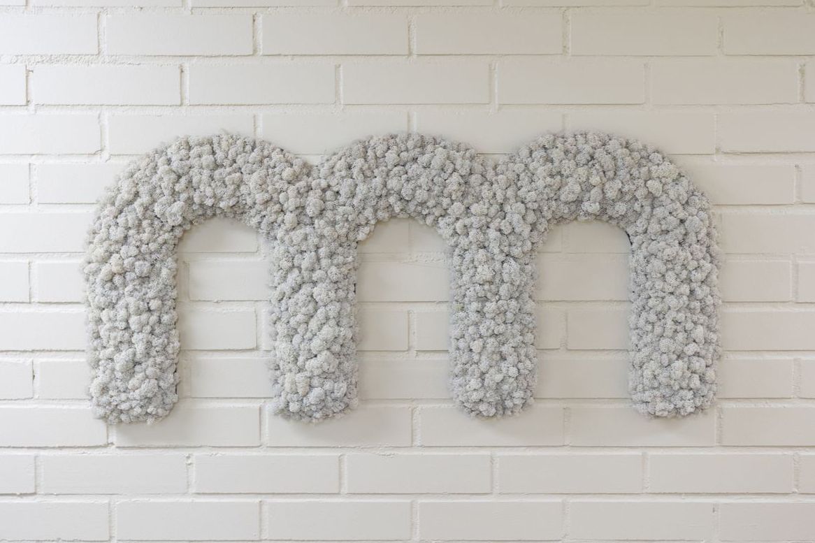 Polarmoss_3-2_Customized_PolarmossLogo_Lichen 01_2025