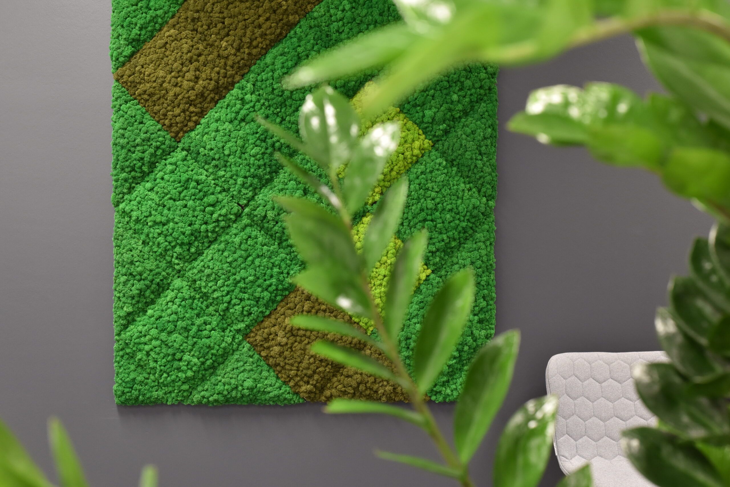 Polarmoss-3-2-MOSSaic_Solita_Refekansikuva