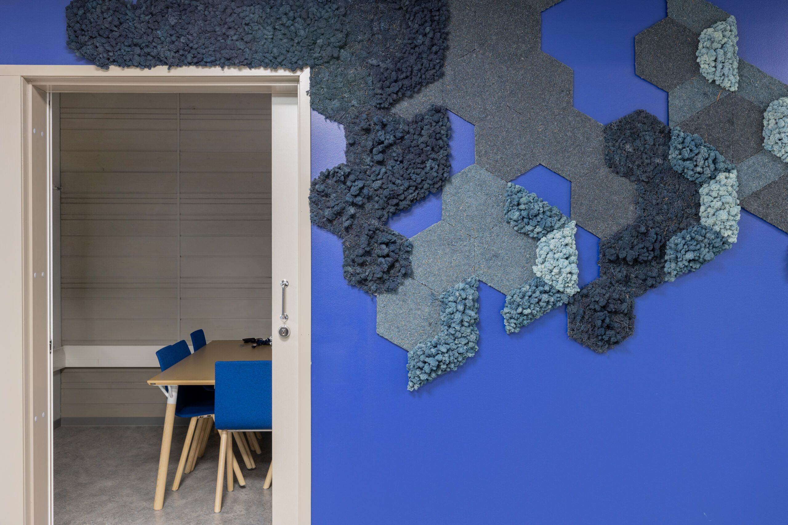 Polarmoss-3-2_MOSSaic_Sea04_Aallot_Kunnantalo2_Hailuoto_2024_04