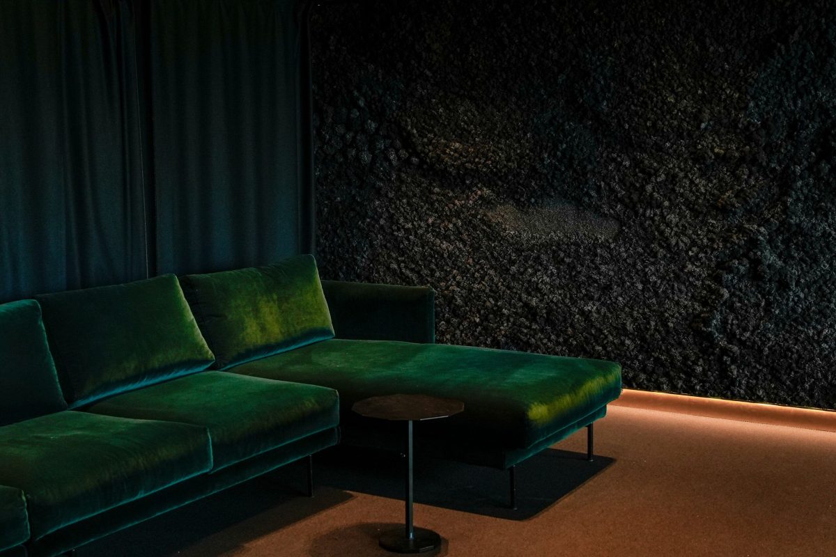 Polarmoss LANDSCAPE - Coast