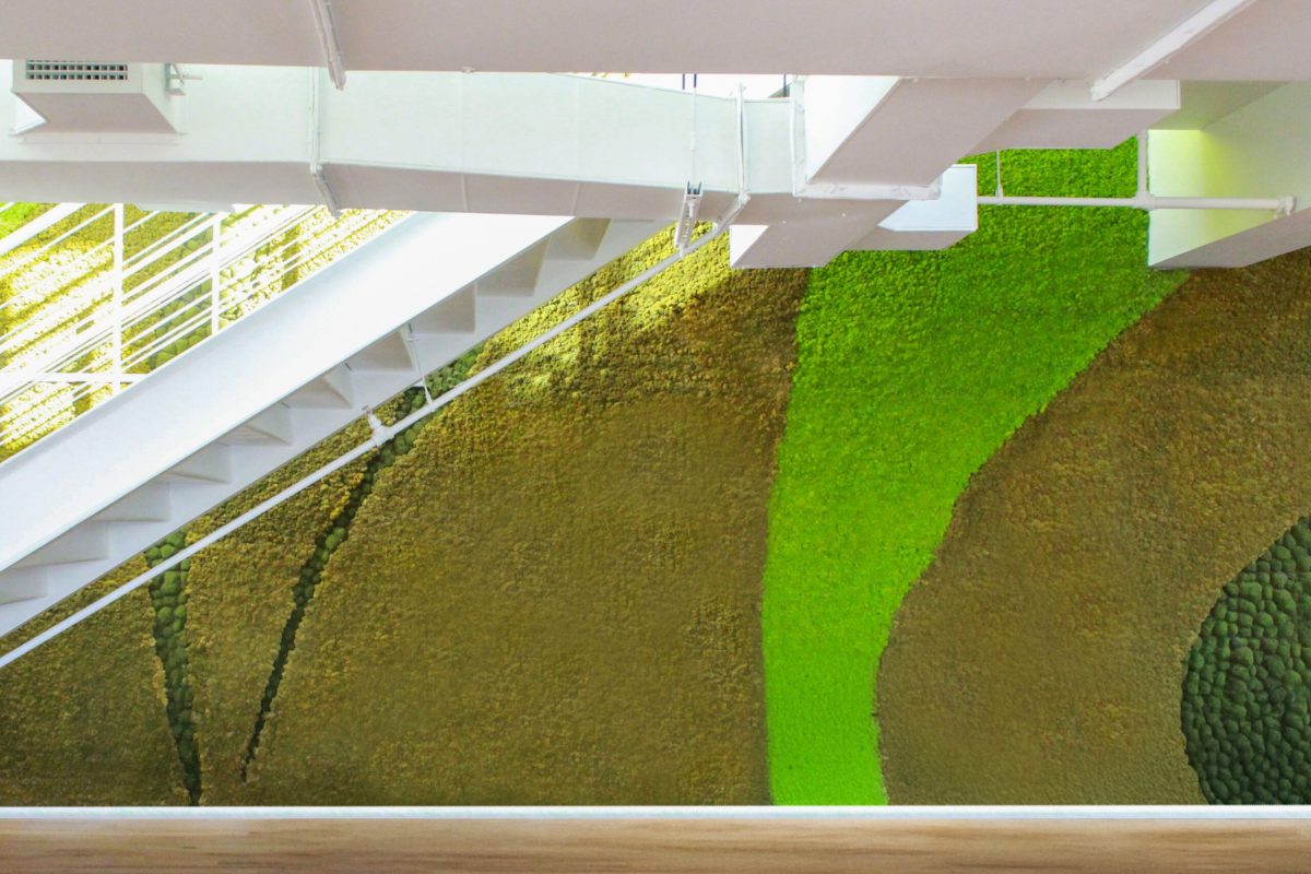 Polarmoss-3-2_FlexElement_MayGreen15_ABinBEV_2_02