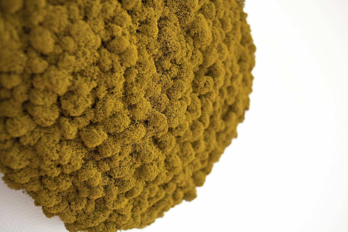 Polarmoss-3-2_Island_LimeGreen13_02