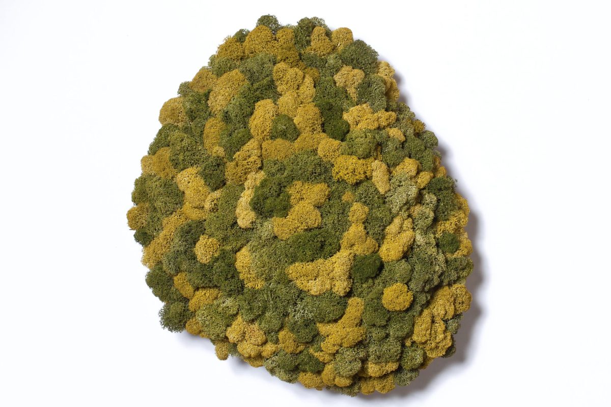 Polarmoss-3-2_Island_Multicolor_01