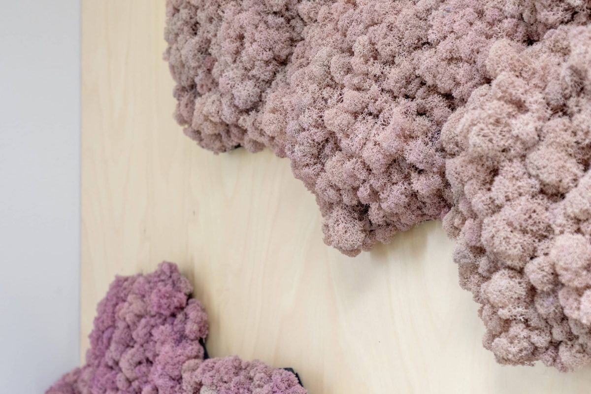 Polarmoss MOSSaic WALL - Light (custom texture)