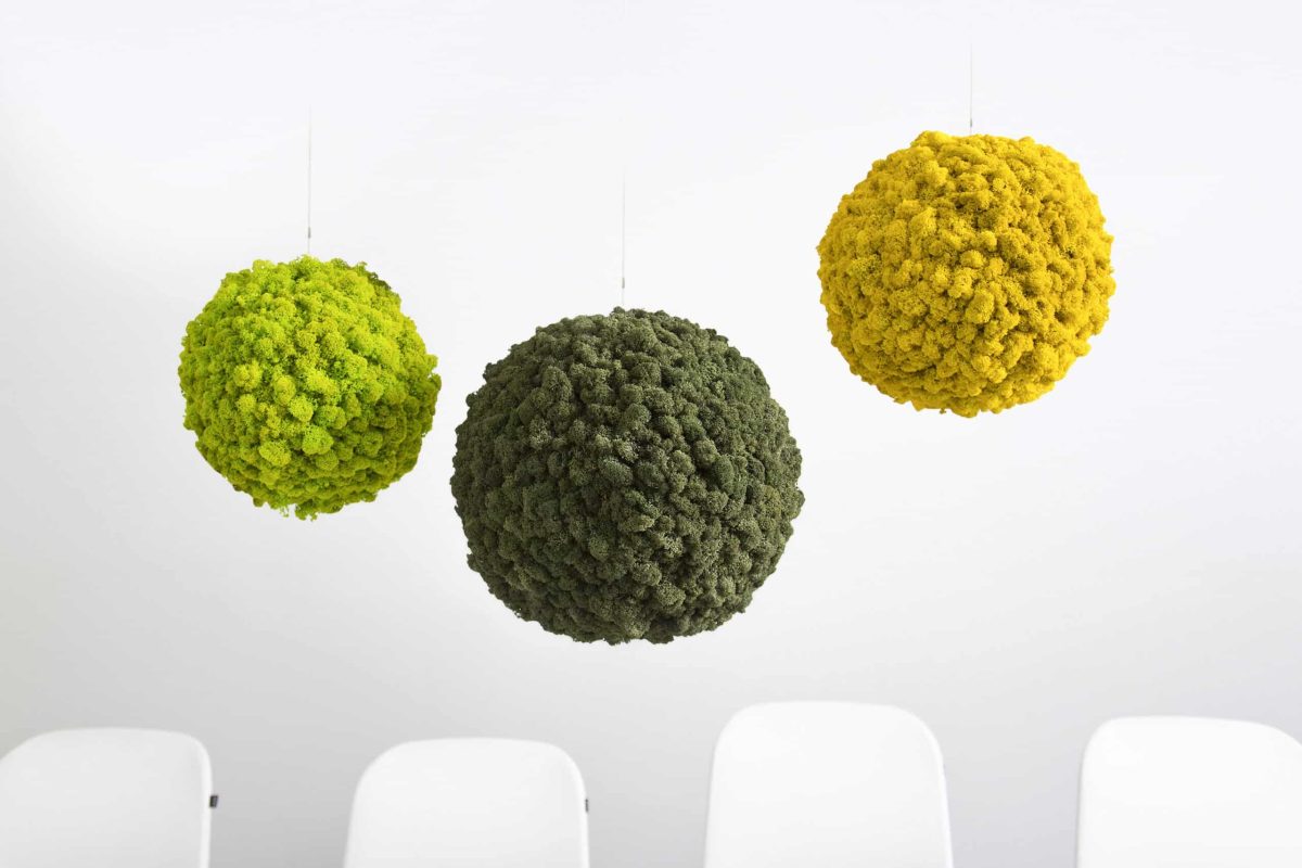 Polarmoss-3-2_Sphere_MayGreen15_01